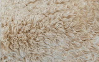 Adding Class and Distinction to Your Inner Sanctum with Real Fur Blankets