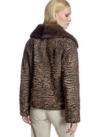 Swakara Lamb Jacket with Mink Notch Collar-Maximilian