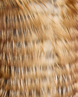 Collarless Feathered Fox Vest