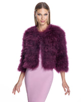 Collarless Feather Bolero-Maximilian