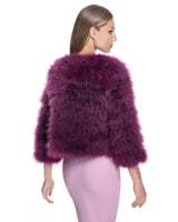 Collarless Feather Bolero-Maximilian
