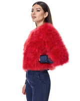 Collarless Feather Bolero-Maximilian
