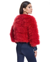 Collarless Feather Bolero-Maximilian