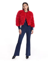 Collarless Feather Bolero-Maximilian